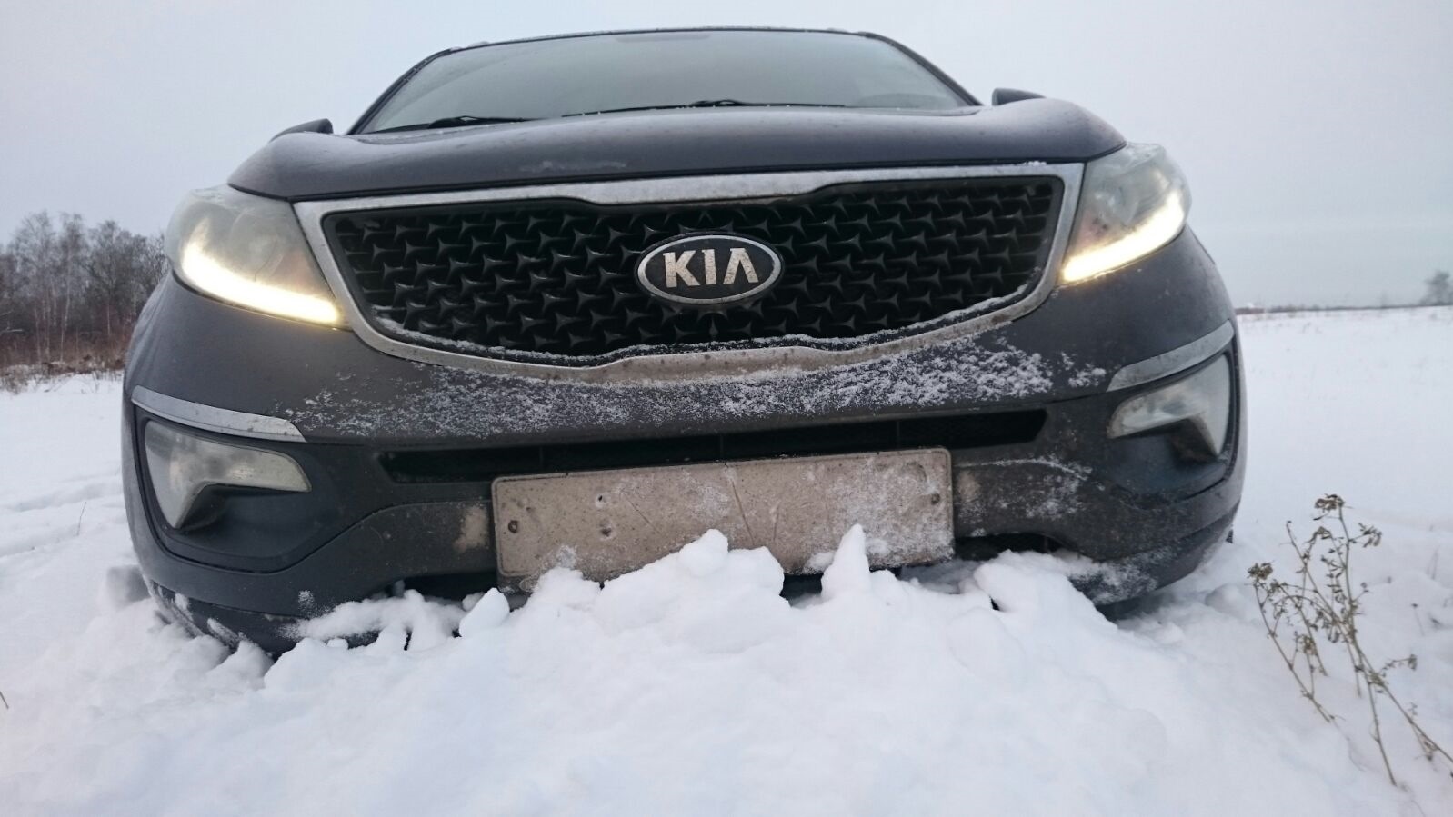 KIA Sportage (3G) 2.0 бензиновый 2014 | Dark Gun на DRIVE2