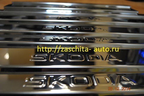 Накладки на пороги ШКОДА РАПИД 2014 — ЗАЩИТА АВТОМОБИЛЯ на DRIVE2