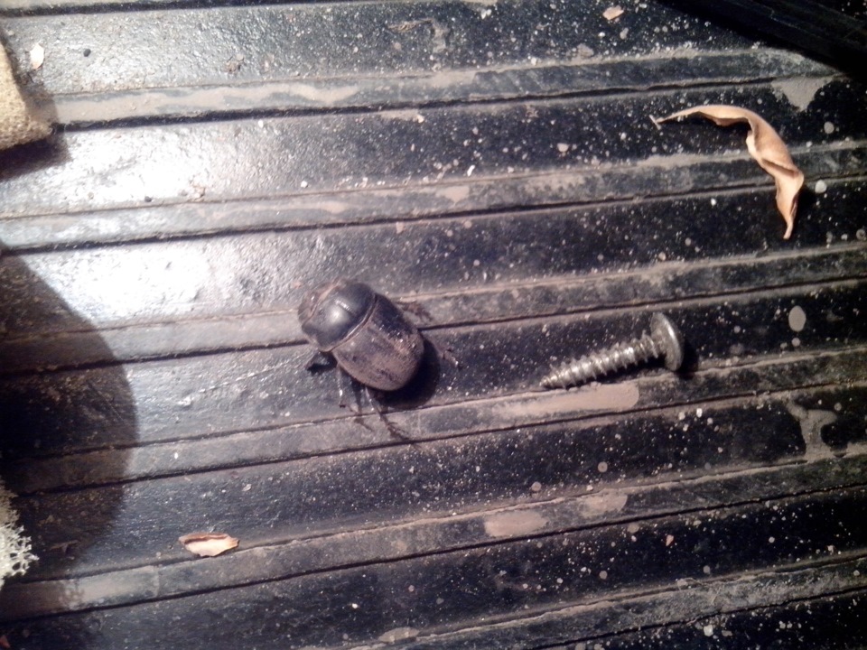 И снова встречайте(печка потекла) сбился какой раз уже:) — LADA 2107, 1 ...