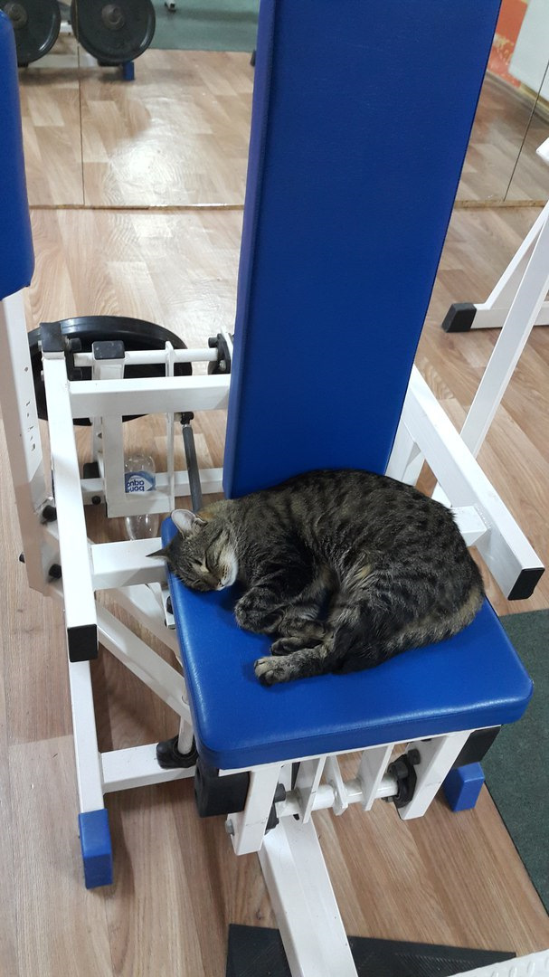 Жим лежа правым боком на скамью. 3 х 2 часа. Первый подход ...