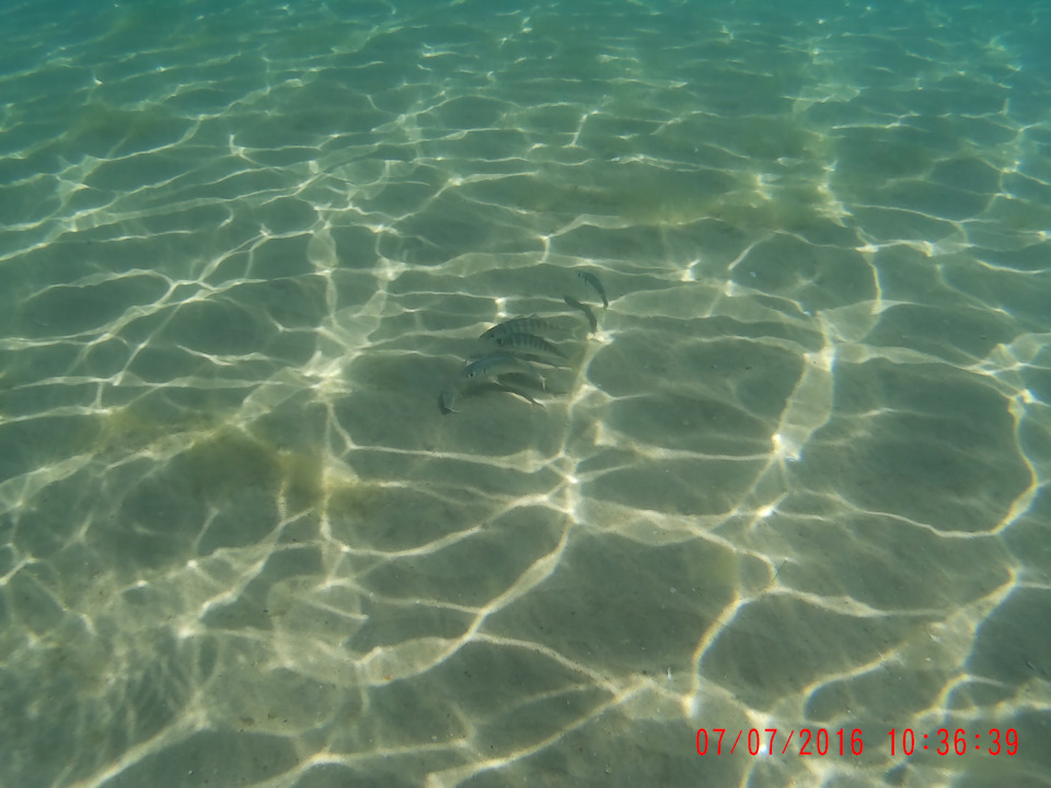 Фото в бортжурнале SsangYong Kyron