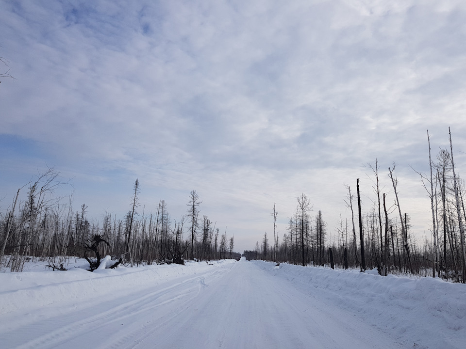 Фото в бортжурнале Mitsubishi Pajero (4G)