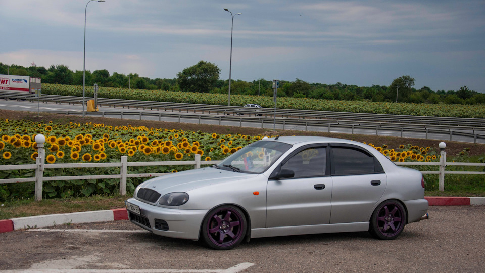 Daewoo Lanos Polish minimalism