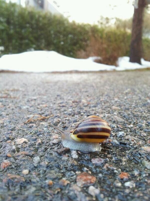 Немного о расходе, Ситроене и Финляндии… и в конце бонус! — Citroen C4 ...