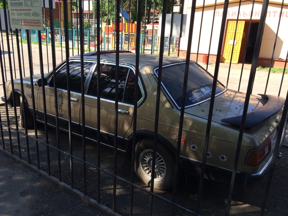 Зоопарк Липецк — Volkswagen Polo Sedan, 1,6 л, 2013 года | прикол | DRIVE2