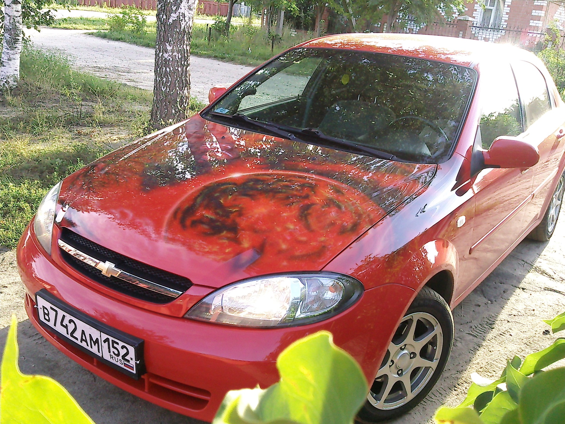 аэрография — Chevrolet Lacetti 5D, 1,6 л, 2007 года | просто так | DRIVE2