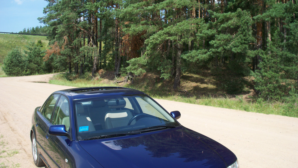 Фото в бортжурнале Audi A4 (B5)