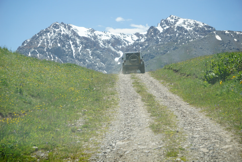 Застава нарынкол фото