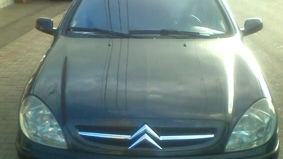 Citroen Xsara Black Angel