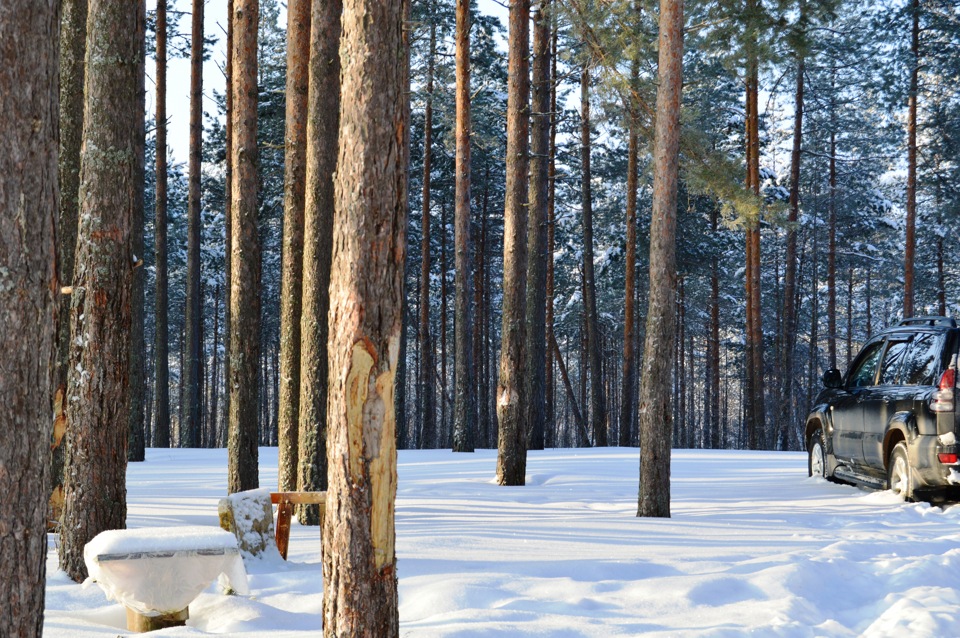 Мороз и солнце … — Toyota Land Cruiser Prado 120-series, 4 л, 2008 года ...