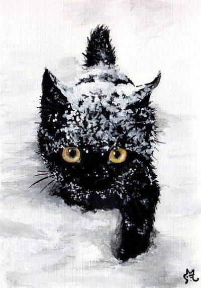Зимняя ава с котом мем