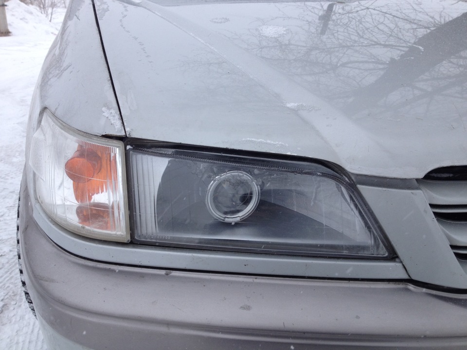 Птф toyota corona premio. Corona premio линзы. Линзы корона премио. Линзы корона премио. Toyota corona premio линзы.