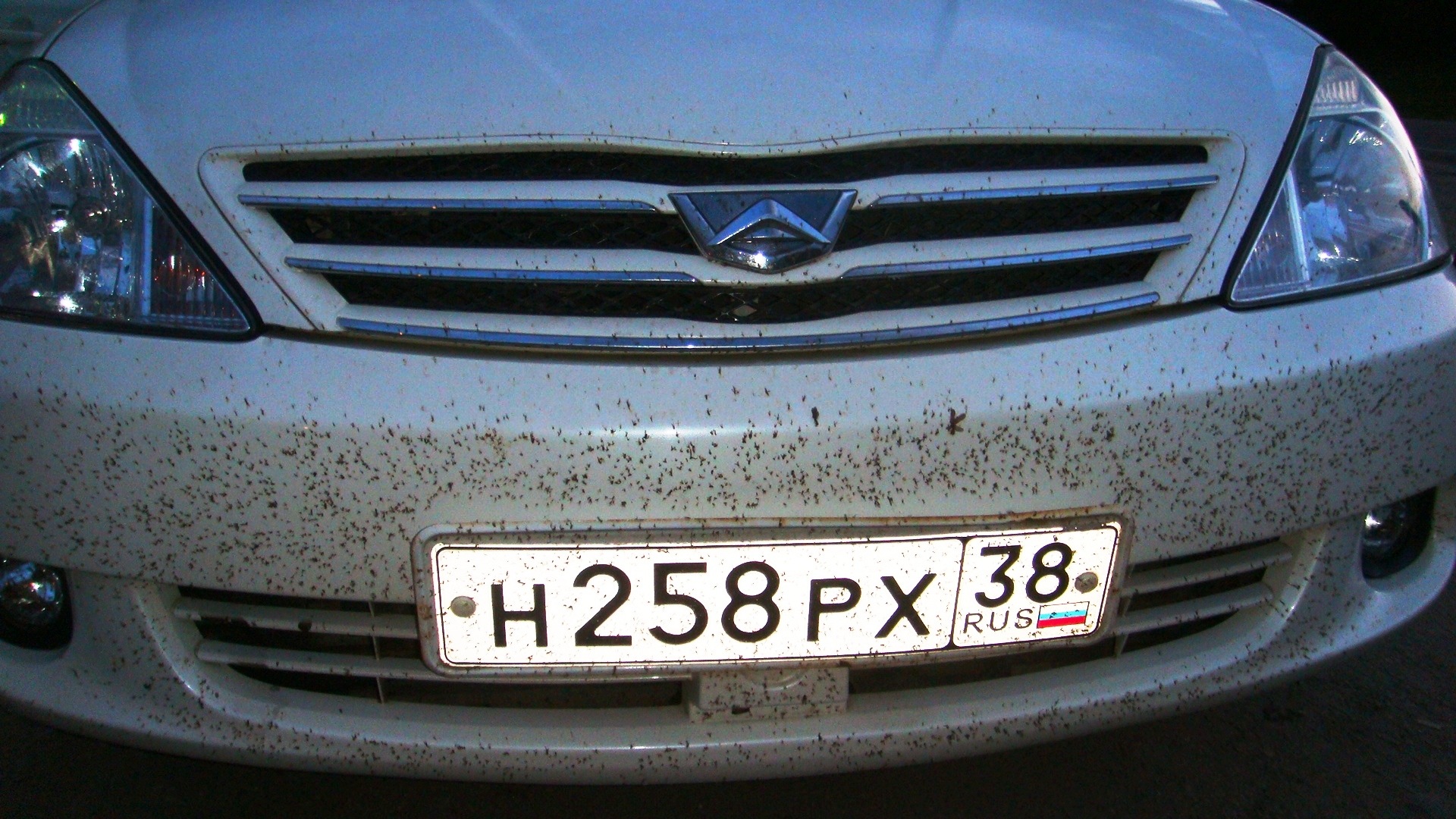 Поездка в Энхалук 2009 — Toyota Allion (T240), 1,8 л, 2002 года |  путешествие | DRIVE2