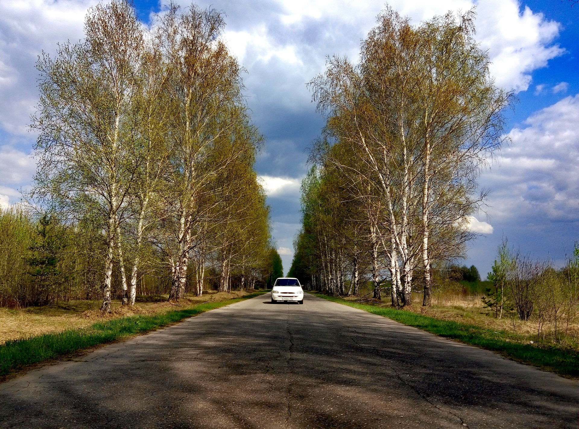 Дорога в бережок. Обочина шоссе Березовая роща. Березовая роща деревня. Дорога в рощу. Березовая дорога.