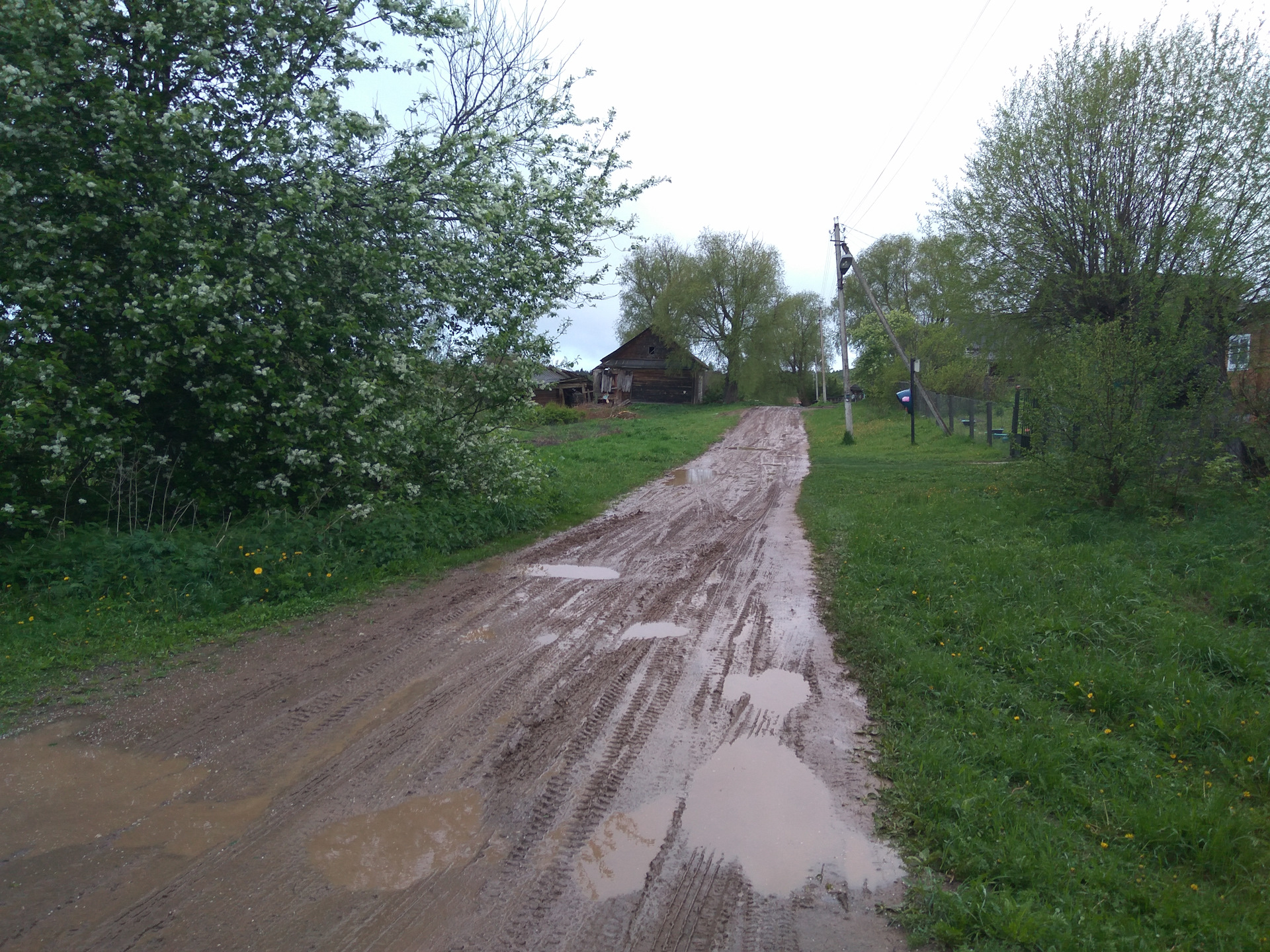 Погода в кадном