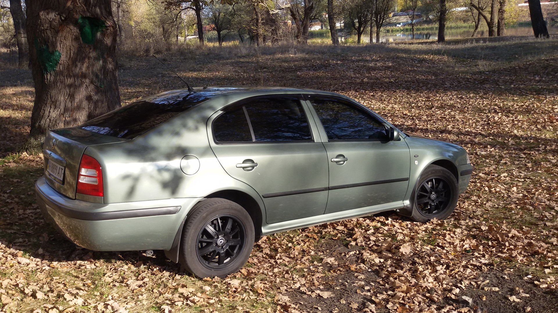 Skoda Octavia A4 Mk1 2.0 бензиновый 2001 | 2.0 