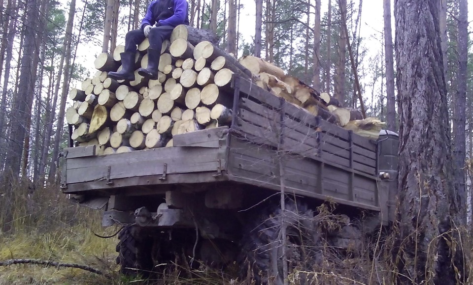 Камаз 15 кубов дров. Груженная дровами. Камаз 43118 с дровами чурками. Дрова чурками камаз 20 кубов. Дрова в багажнике авто.