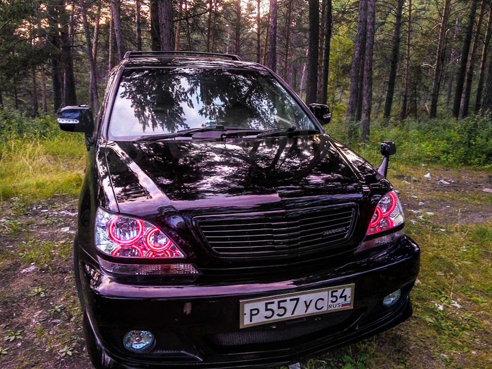 Фото в бортжурнале Toyota Harrier (1G)