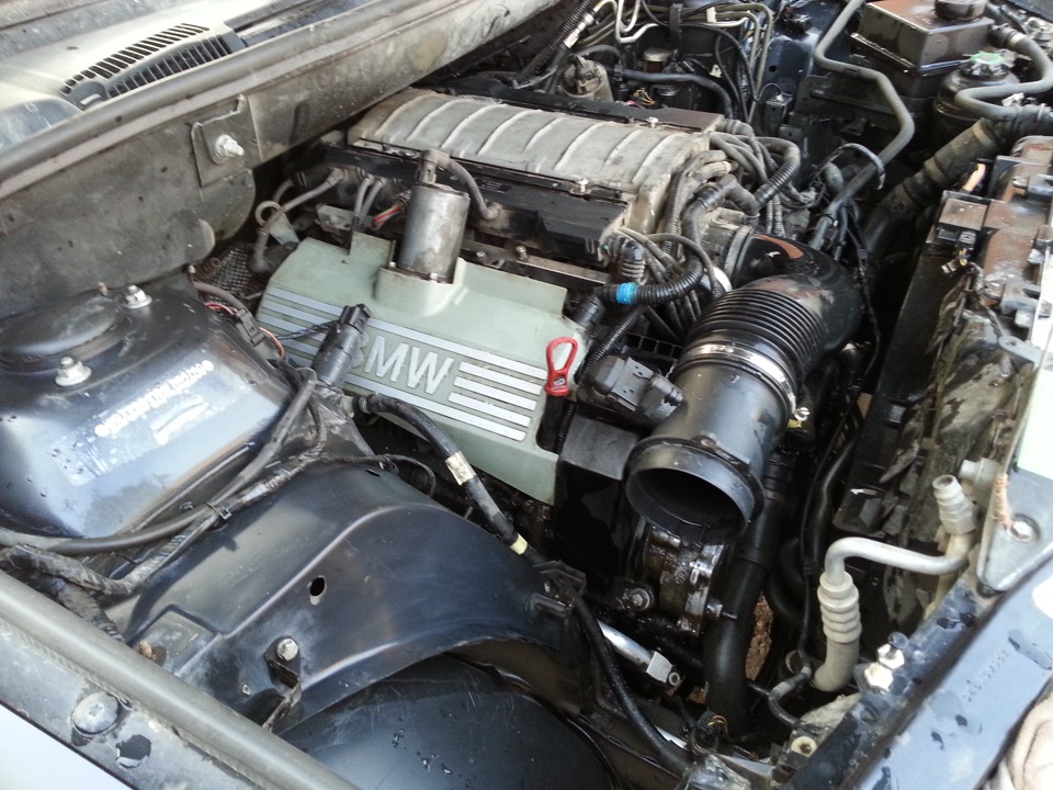 Отмывка Двигателя — BMW X5 (E53), 2005 года | мойка | DRIVE2