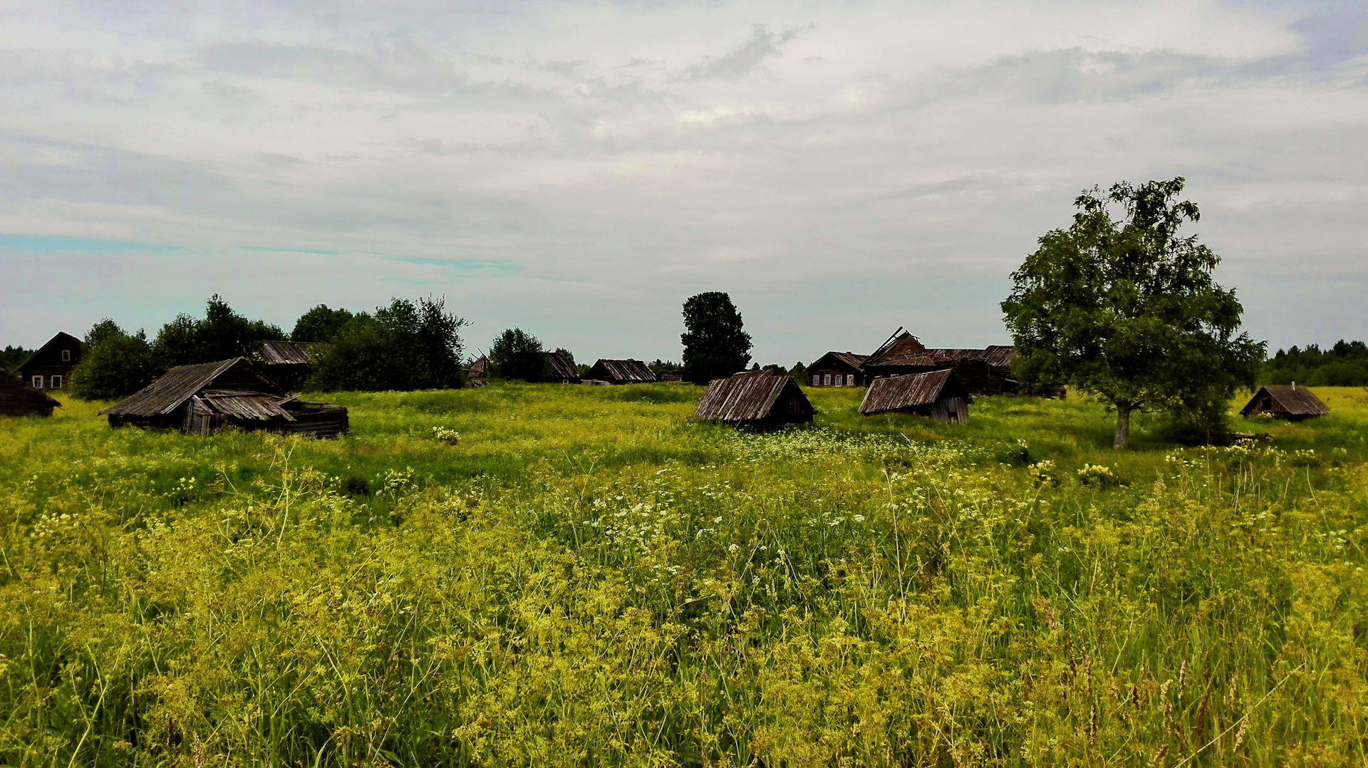 Старое село погода вологодской область. Деревня Березово Вологодская область.