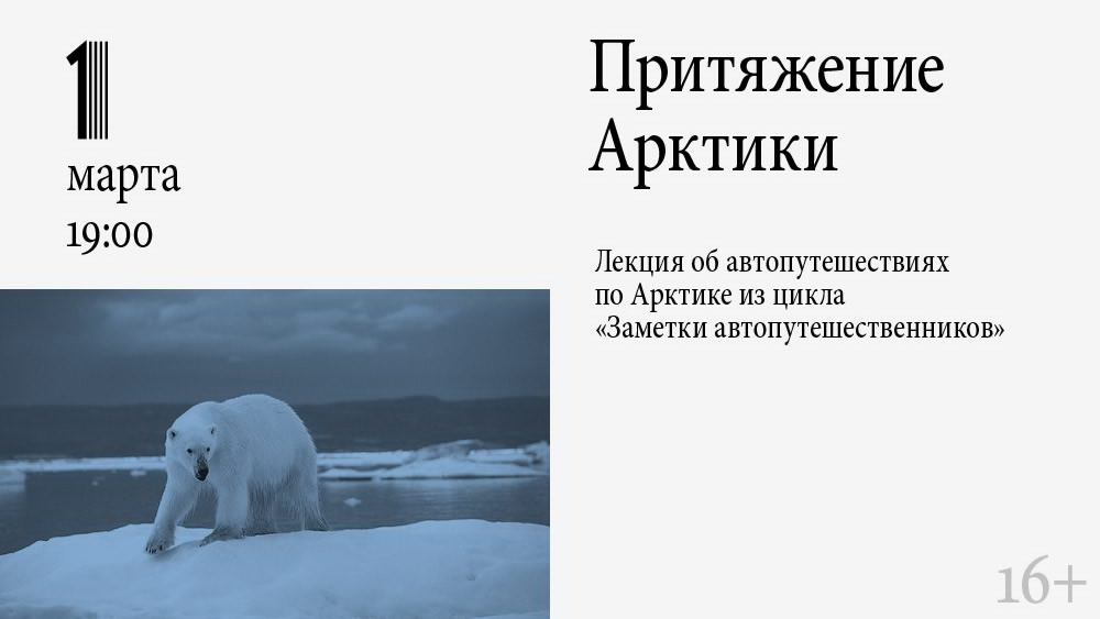 арктическая пустыня интересные факты. животные арктики презентация. природа арктики описание. арктическая пустыня интересные факты. рассказ про арктику.