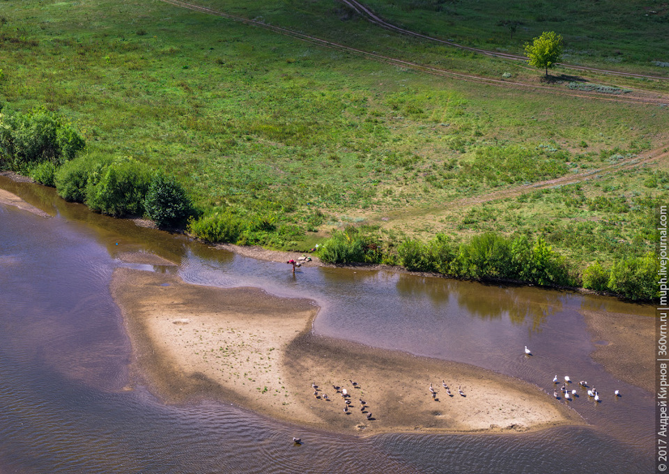 какая рыба водится в реке олым липецкой области. Смотреть фото какая рыба водится в реке олым липецкой области. Смотреть картинку какая рыба водится в реке олым липецкой области. Картинка про какая рыба водится в реке олым липецкой области. Фото какая рыба водится в реке олым липецкой области