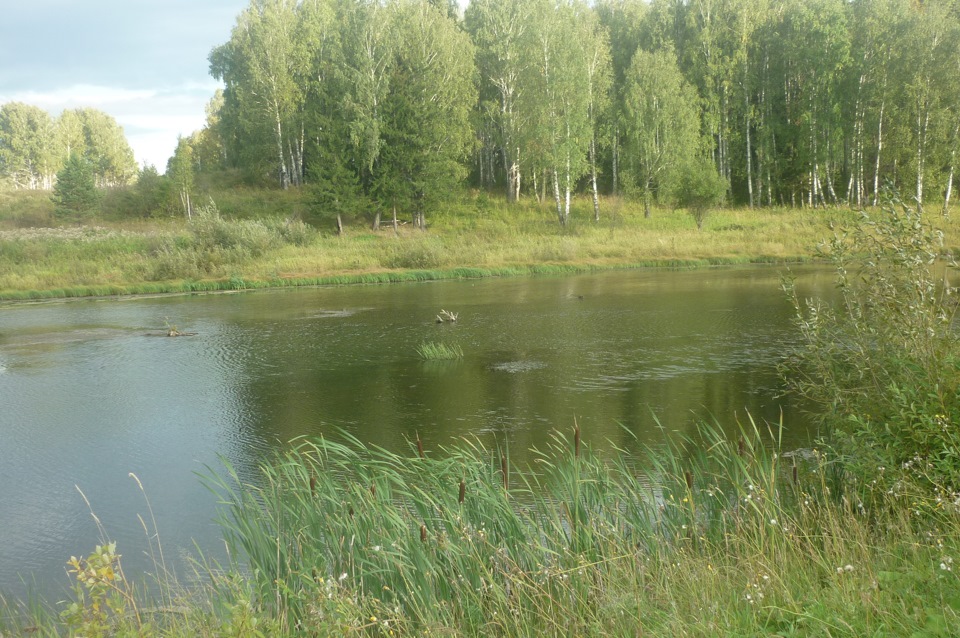 Карта село александровка боготольский район