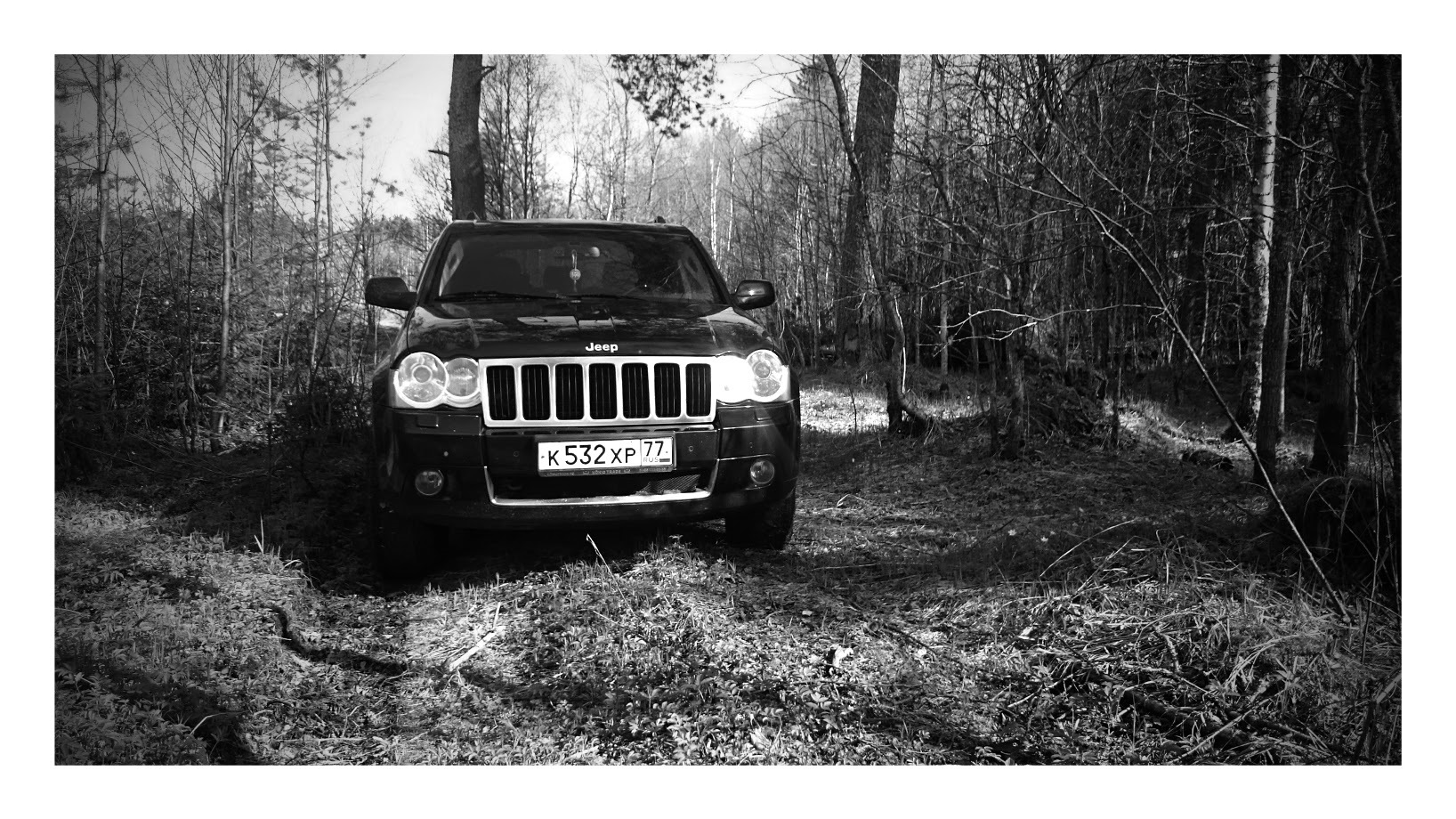 Jeep Grand Cherokee в лесу