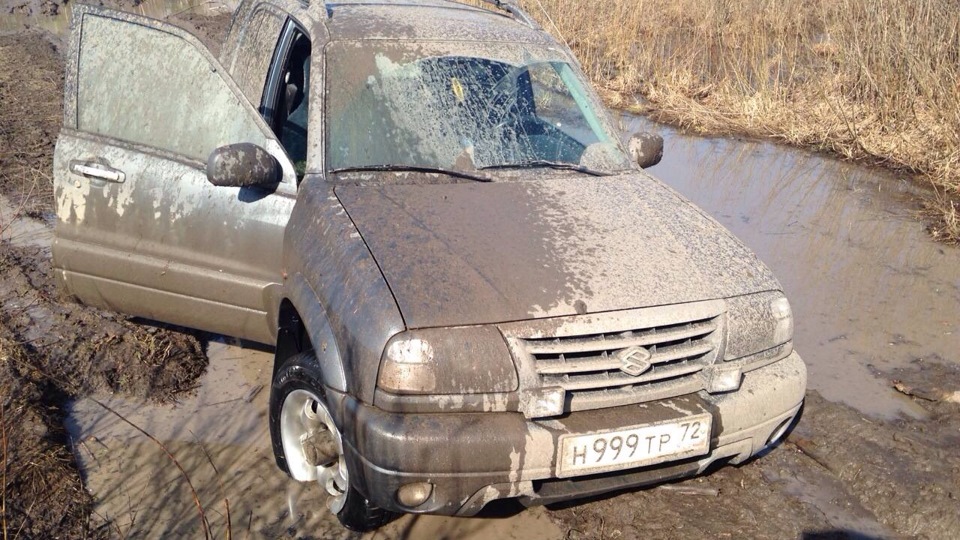 Suzuki Suzuki