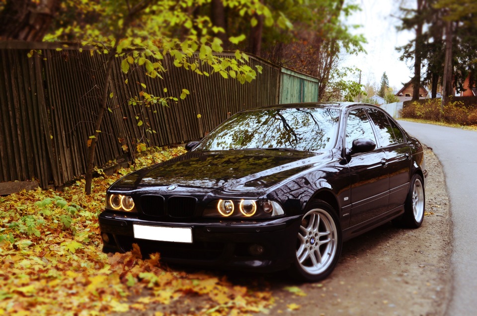 BMW e39 осень