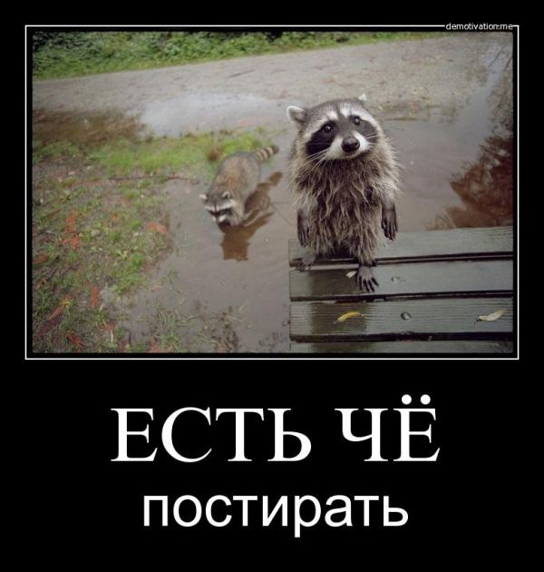 Я не местный мем