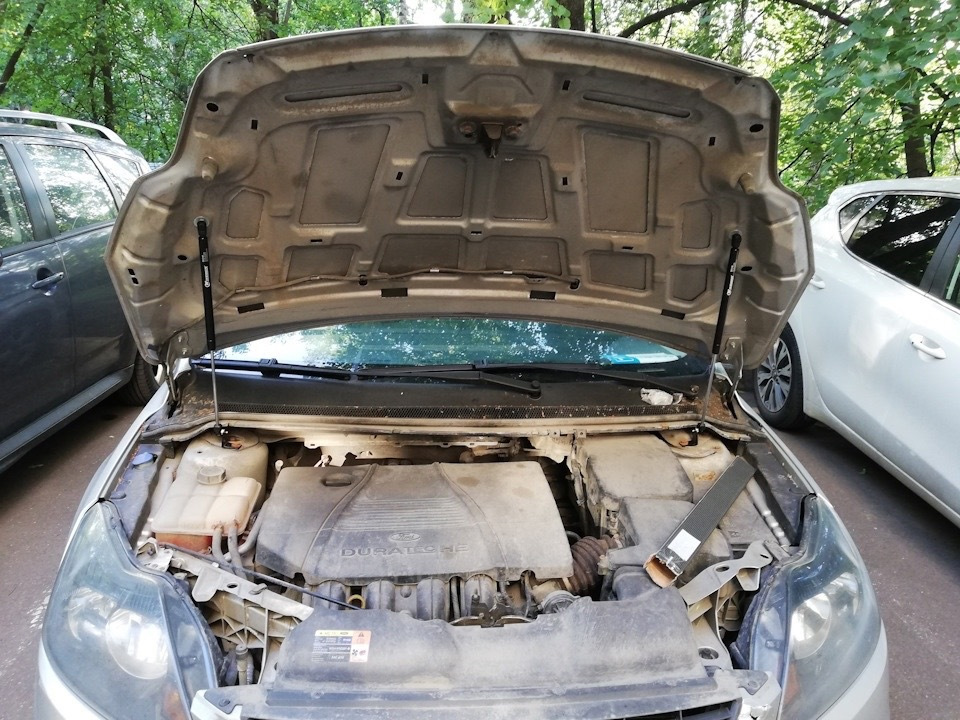 Газовые упоры капота Ford Focus 2 на Ford Focus Hatchback II, Ford ...