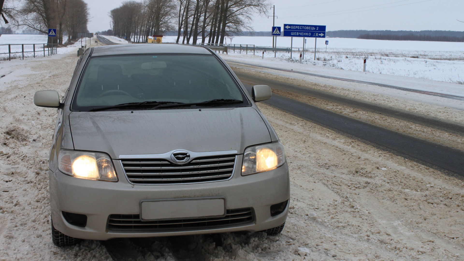 Toyota Corolla (120) 1.5 бензиновый 2005 | 1NZ-FE на DRIVE2