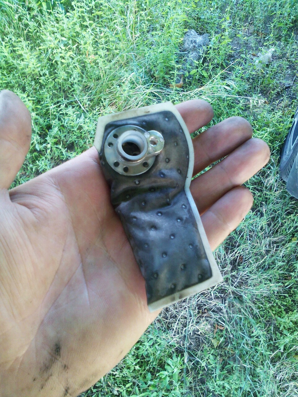 Сеточка бензонасоса — Chevrolet Lacetti 5D, 1,6 л, 2012 года | плановое ...