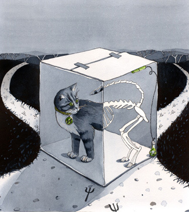 Кот шредингера что