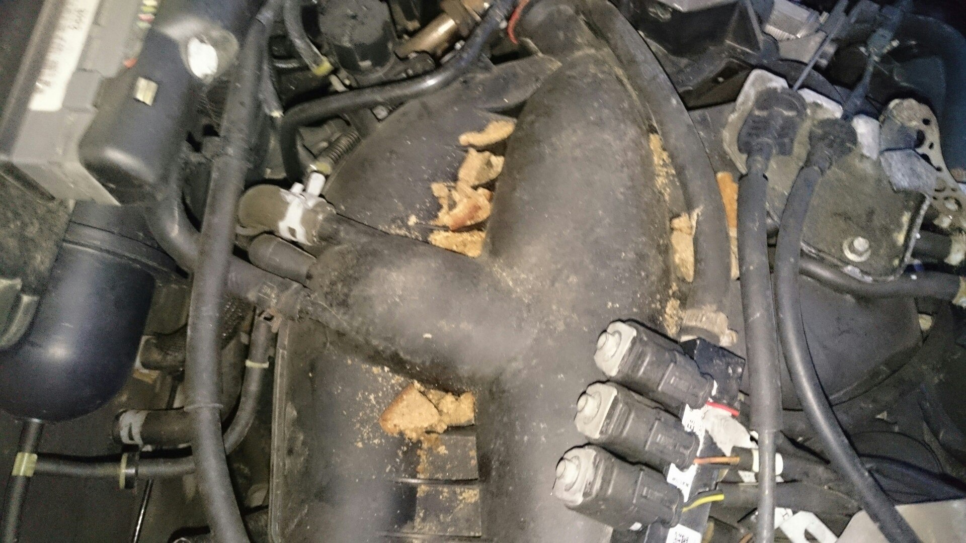 8. Фишка вентилятора мицубиси либеро. Паджеро подсос воздуха. Ост заслонок 6g75. Подсос воздуха кия соренто 2.