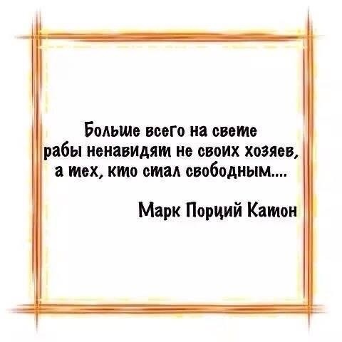краб бакет что это. Смотреть фото краб бакет что это. Смотреть картинку краб бакет что это. Картинка про краб бакет что это. Фото краб бакет что это