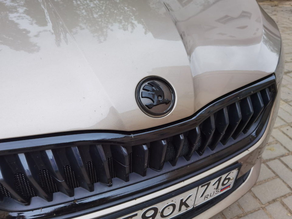 Фото в бортжурнале Skoda Rapid (2G)