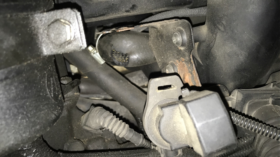 Фото в бортжурнале BMW 3 series (E46)