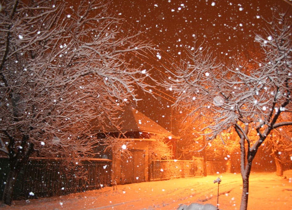 Техосмотр — LADA 2107, 1,6 л., 2008 года | техосмотр | DRIVE2