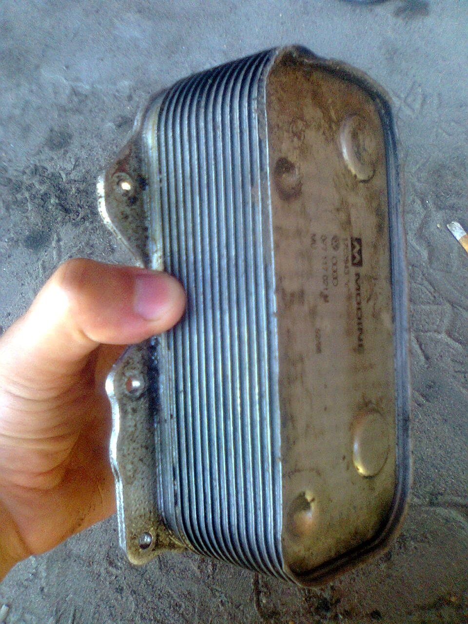 Замена Маслоохладителя (моторного масла) — Audi A8 (D2), 4,2 л, 2002 ...