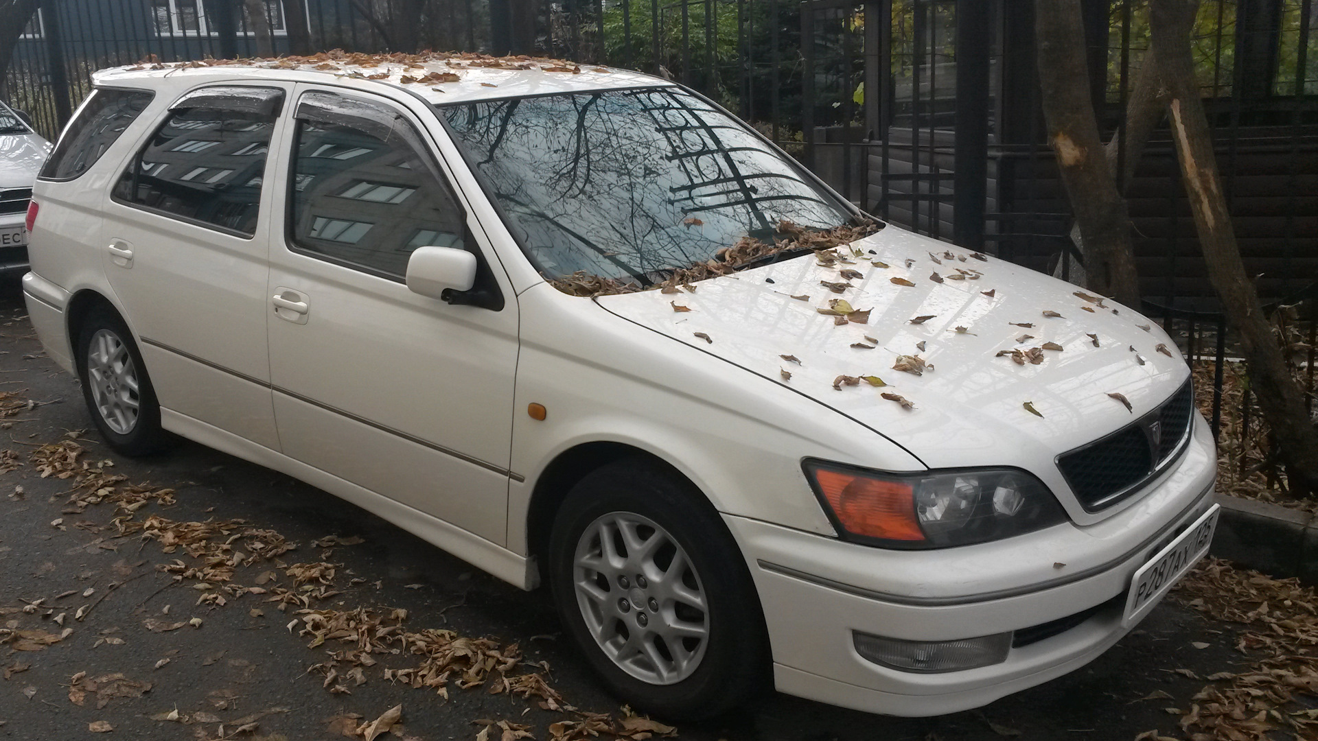 Toyota Ardeo (V50) 2.0 бензиновый 1999 | KoRoVa на DRIVE2