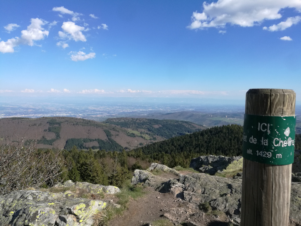 Фото в бортжурнале Audi A4 (B9)