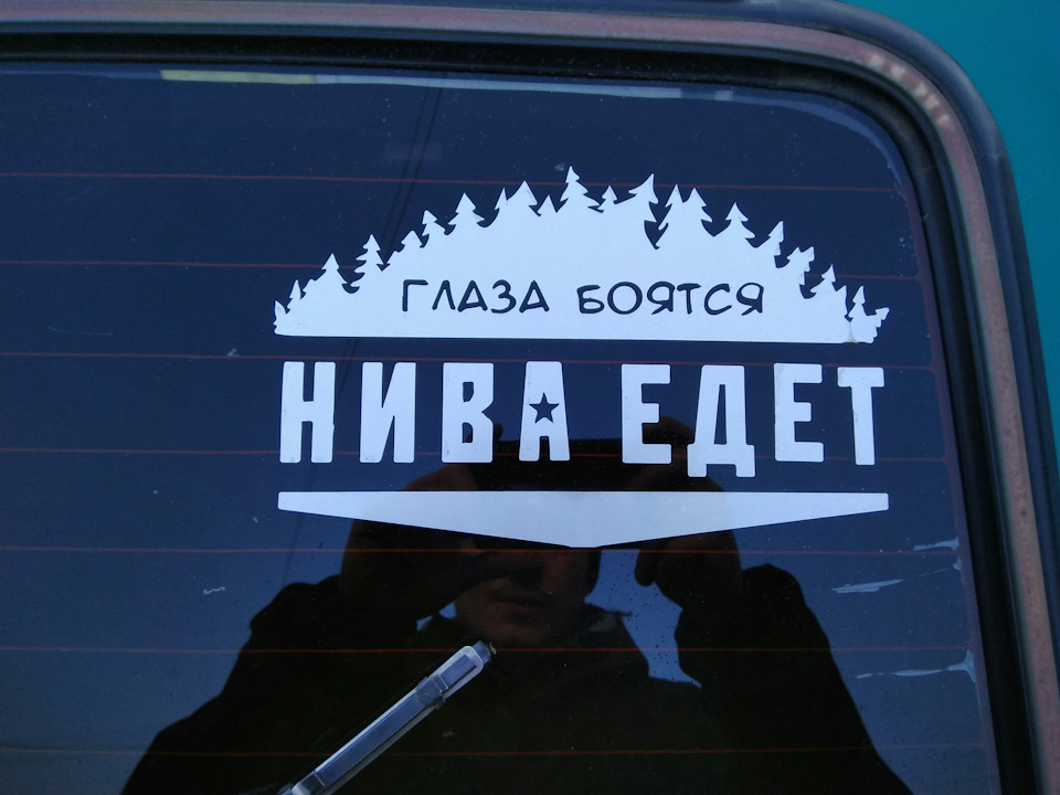 Глаза боятся нива едет