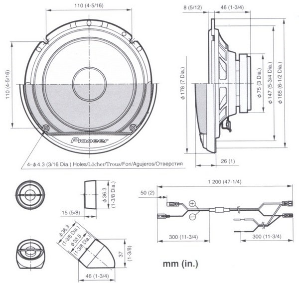 Количество динамиков. Динамики Pioneer TS-g1020s. Pioneer TS 650c чертеж. Pioneer TS g172ci. Динамики Пионер ТС 650 схема.
