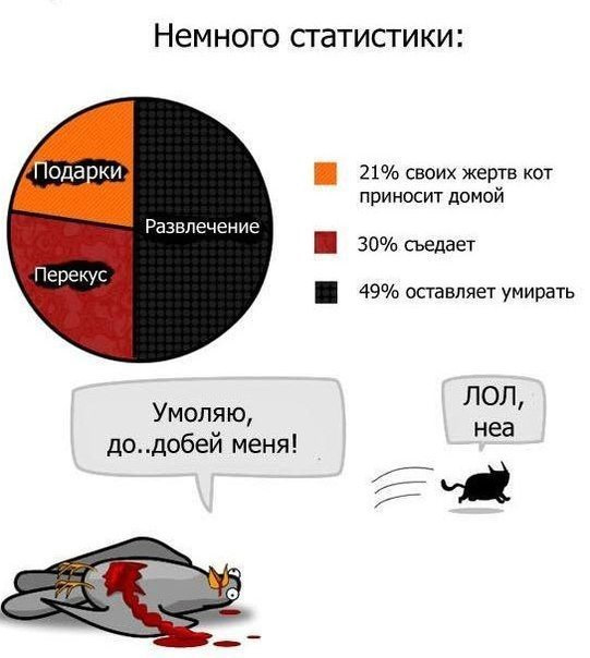 Статистика и котики скачать
