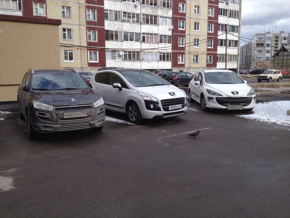 Тюнинг авто пежо 3008. Смотреть фото Тюнинг авто пежо 3008. Смотреть картинку Тюнинг авто пежо 3008. Картинка про Тюнинг авто пежо 3008. Фото Тюнинг авто пежо 3008