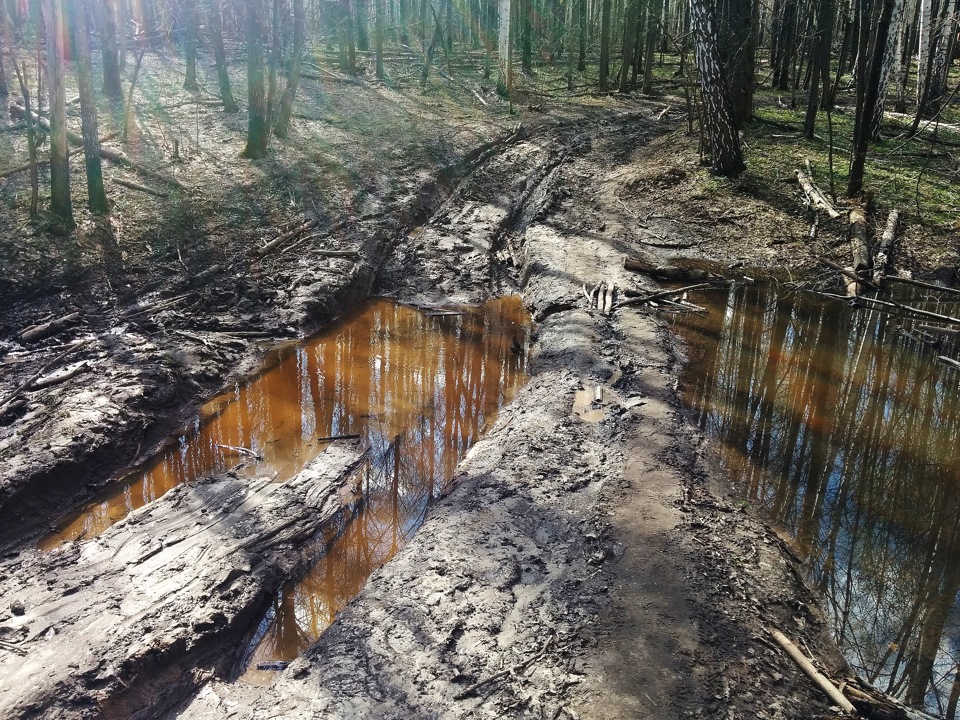 Водопад девичьи слезы красная поляна как добраться на машине. Смотреть фото Водопад девичьи слезы красная поляна как добраться на машине. Смотреть картинку Водопад девичьи слезы красная поляна как добраться на машине. Картинка про Водопад девичьи слезы красная поляна как добраться на машине. Фото Водопад девичьи слезы красная поляна как добраться на машине