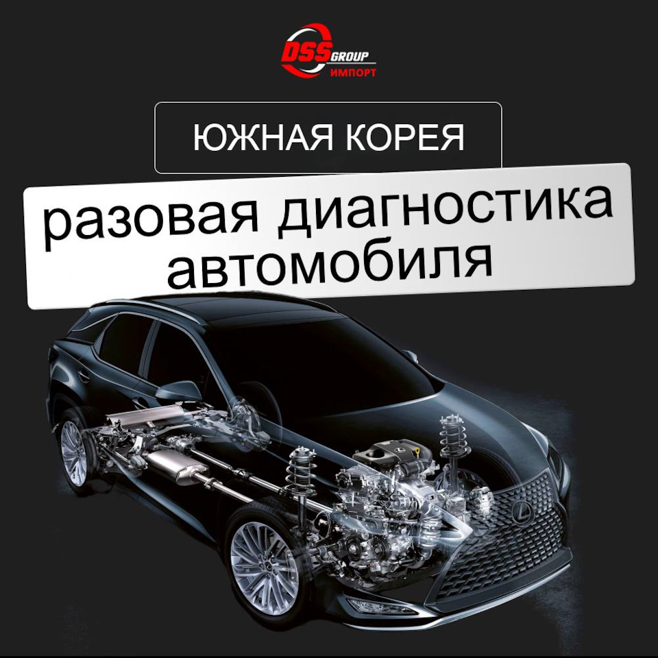 Разовая выездная диагностика автомобиля в Южной Корее — DSS Group ...