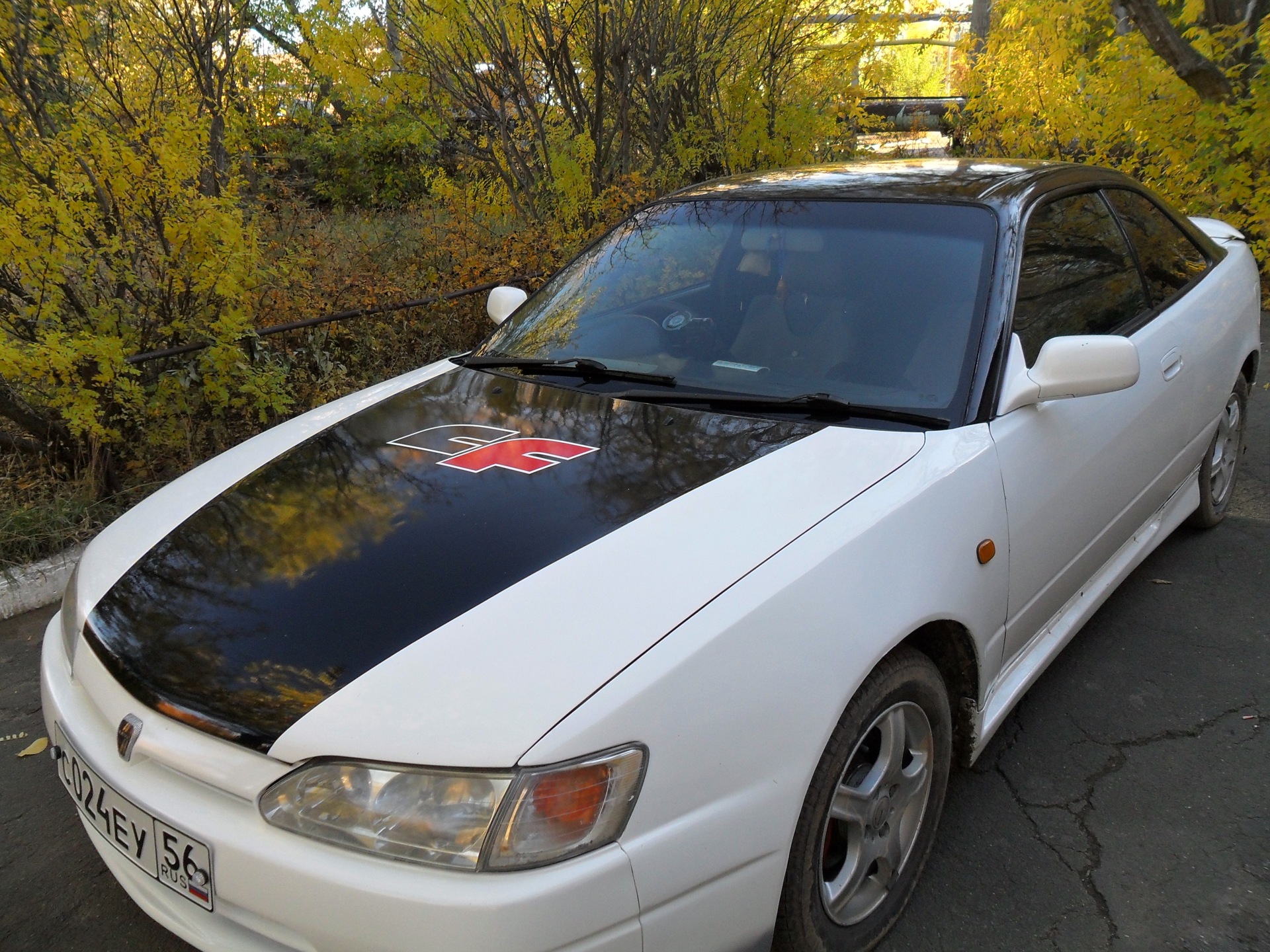 В какой цвет лучше перекрасить? — Toyota Corolla Levin (AE110/111), 1,6 л,  1998 года | тюнинг | DRIVE2